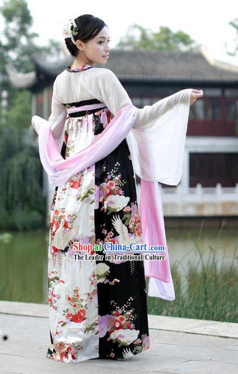 Ancient Chinese Crane Beauty Costume