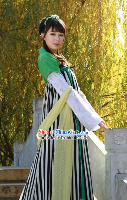 Ancient Chinese Tang Dynasty Palace Lady Costumes