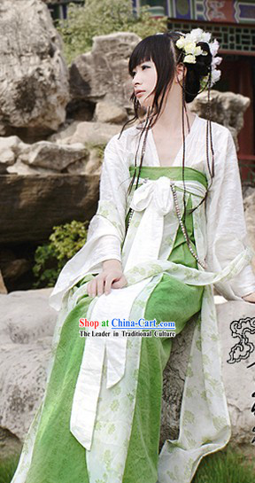 Ancient Chinese Tang Dynasty Girl Ruqun Clothing