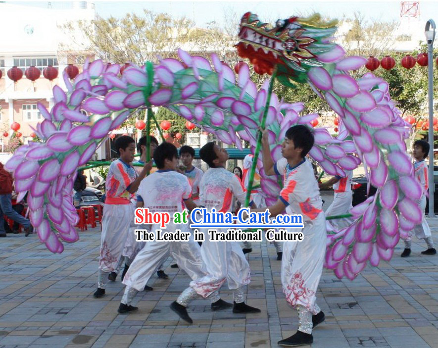 Traditional Chinese Lotus Dragon Dance Costumes Complete Set