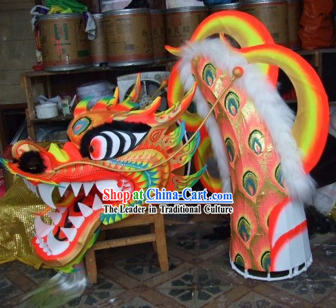 Adult Size Phoenix Tail Pattern Luminous Dragon Dancing Costumes Complete Set