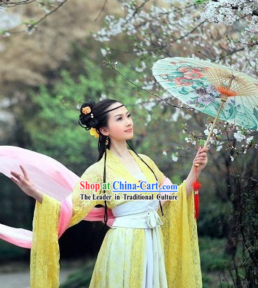 Ancient Chinese Xi Shi Beauty Costumes for Women