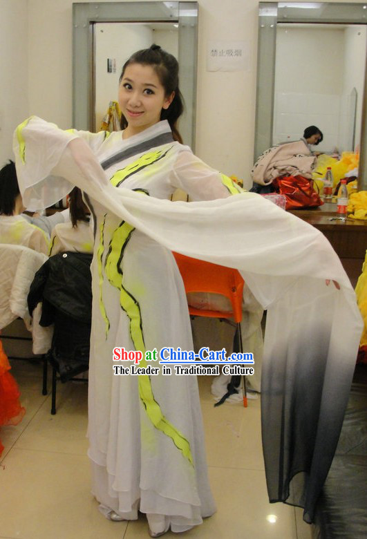 Traditional Chinese Classical Long Sleeve Dance Costumes for Women