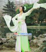 Ancient Chinese Water Sleeve Hanfu Guzhuang Clothing