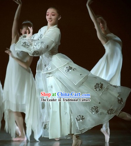 The Peony Pavilion Ballet Stage Performance Classical Costumes Complete Set for Women