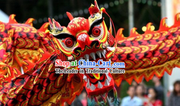 Professional International Competition Fluorescent Dragon Dancing Costumes for Ten Dancers