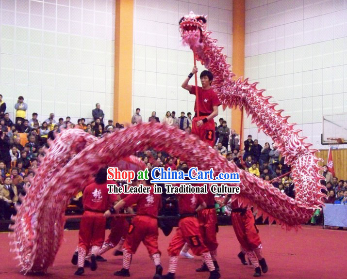 Professional Worldwide Dragon Dance Competition Costumes Complete Set