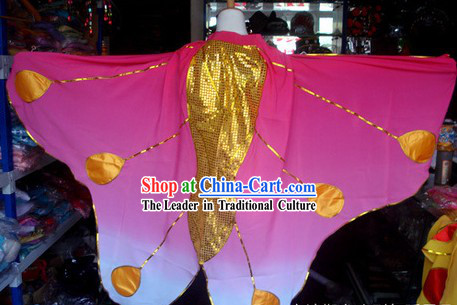 Liang Shanbo and Zhu Yingtai Butterfly Love Costumes