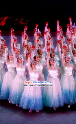 Swan Stage Performance Dance Costumes and Headwear Complete Set