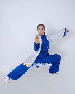 Top Blue and White Martial Arts Tai Chi Silk Clothes