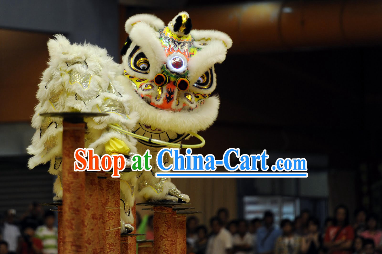Competition Southern Lion Dance Equipments Complete Set