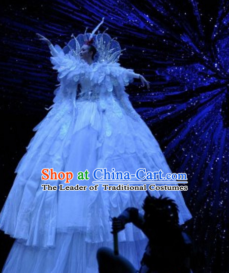 Giant Chinese Stage Dance Costumes Complete Set for Women