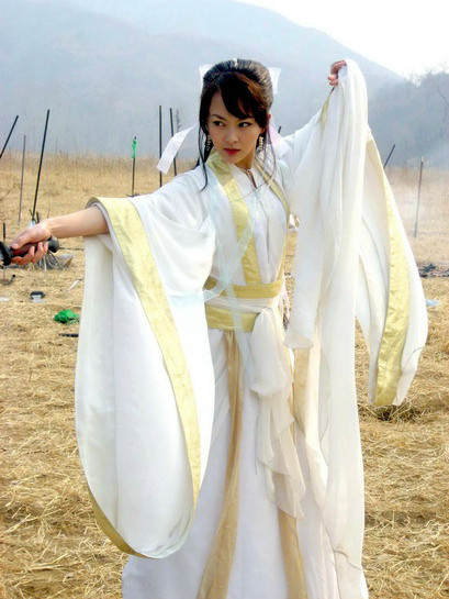 China Swordmen Costume Carnival Costumes Dance Costumes Traditional Costumes for Women