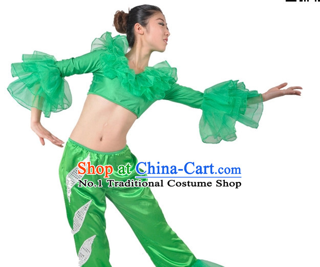 China Modern Dance Costumes Ballerina Costume Burlesque Costumes Salsa Costumes