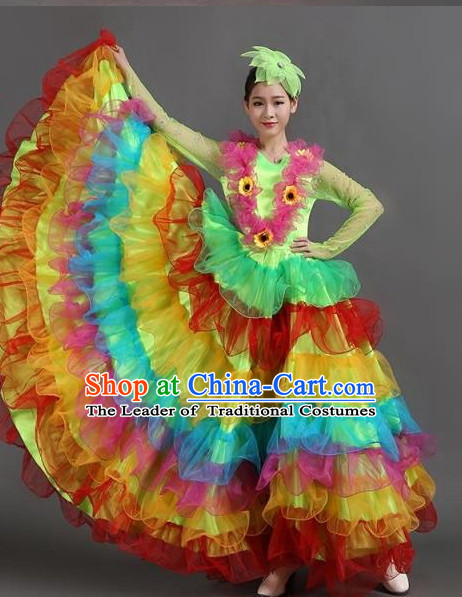 Chinese Ballroom Dance Dress for Women Girls