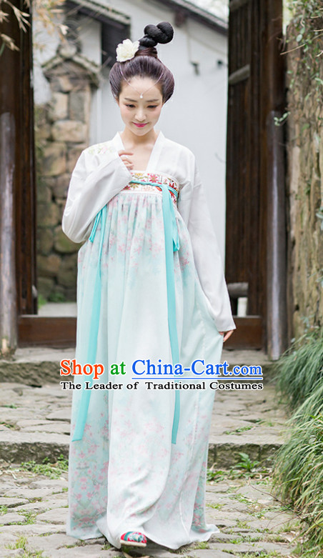 Traditional Chinese Tang Dynasty Dress Chinese Clothing Cloth China Attire Oriental Dresses for Women