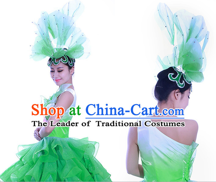 Green Chinese Flower Dance Costume Dance Costumes Fan dance Umbrella Ribbon Fans Water Sleeve Dancer Dancing Costumes Complete Set