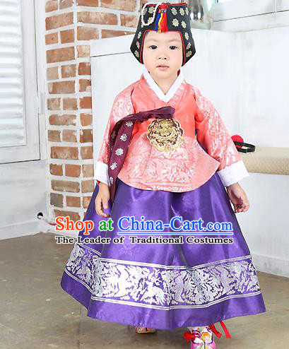 Traditional Korean Handmade Formal Occasions Costume Embroidered Baby Brithday Girls Pink Blouse and Purple Dress Hanbok Clothing