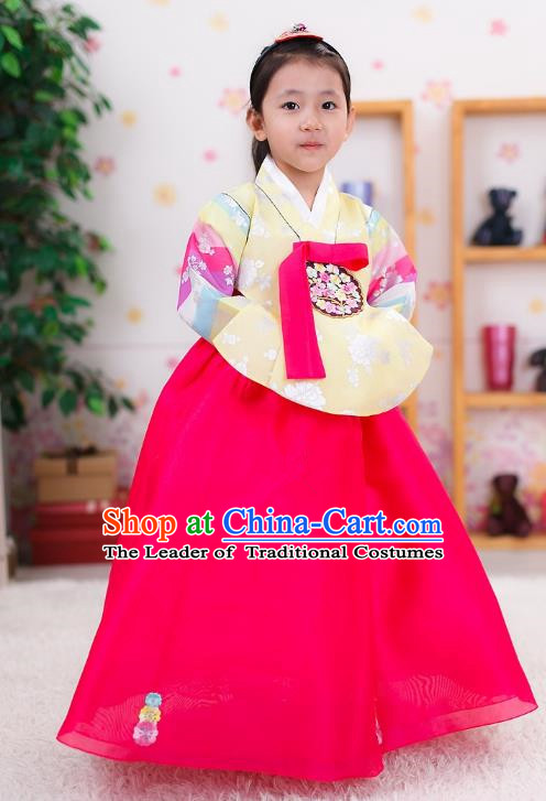 Traditional Korean Handmade Formal Occasions Costume Embroidered Baby Brithday Hanbok Blouse and Pink Dress Clothing for Girls