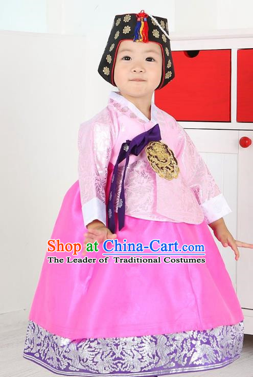 Traditional Korean Handmade Formal Occasions Costume Embroidered Baby Brithday Girls Pink Blouse and Dress Hanbok Clothing