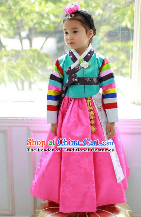 Traditional Korean Handmade Formal Occasions Costume Embroidered Baby Brithday Hanbok Green Blouse and Pink Dress Clothing for Girls
