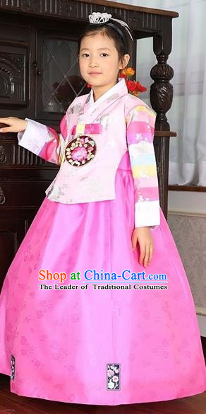 Asian Korean Traditional Handmade Formal Occasions Costume Baby Princess Embroidered Pink Blouse and Dress Hanbok Clothing for Girls