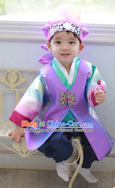 Asian Korean National Traditional Handmade Formal Occasions Costume, Palace Boys Brithday Embroidered Purple Hanbok Clothing for Kids