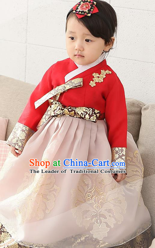 Asian Korean Traditional Handmade Formal Occasions Girls Embroidered Red Blouse and Pink Dress Costume Hanbok Clothing for Kids