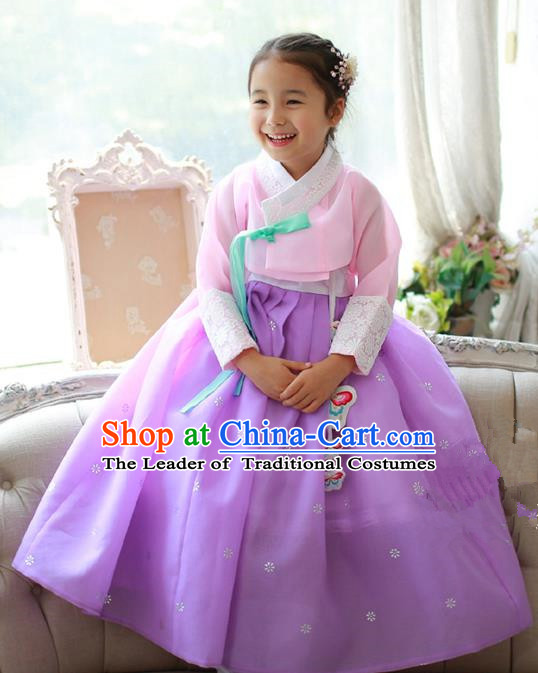 Asian Korean National Traditional Handmade Formal Occasions Girls Embroidered Pink Blouse and Purple Dress Costume Hanbok Clothing for Kids
