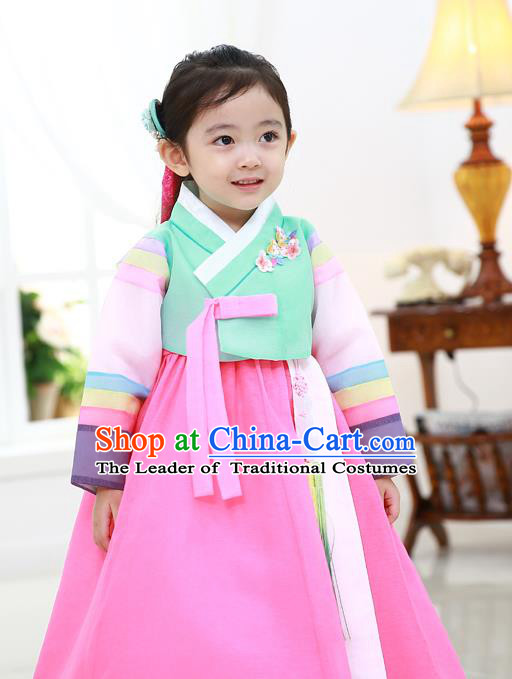 Asian Korean National Traditional Handmade Formal Occasions Girls Embroidered Green Blouse and Pink Dress Costume Hanbok Clothing for Kids