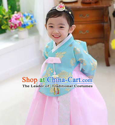 Asian Korean National Traditional Handmade Formal Occasions Girls Embroidered Blue Blouse and Pink Dress Costume Hanbok Clothing for Kids