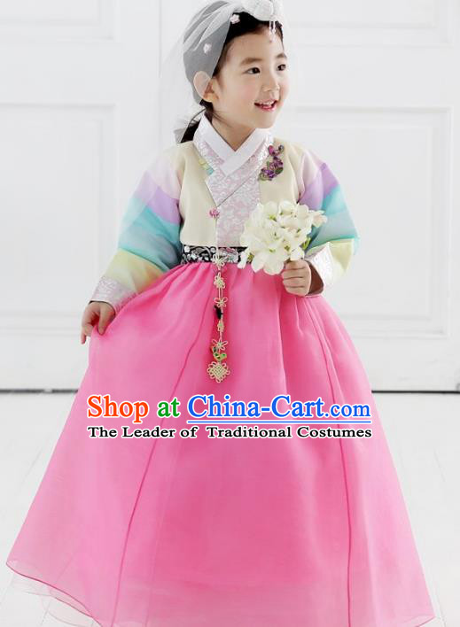Asian Korean National Traditional Handmade Formal Occasions Girls Embroidery Beige Blouse and Pink Dress Costume Hanbok Clothing for Kids