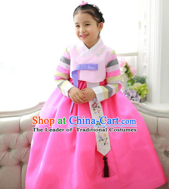 Traditional Korean National Handmade Formal Occasions Girls Hanbok Costume Embroidery Pink Blouse and Dress for Kids