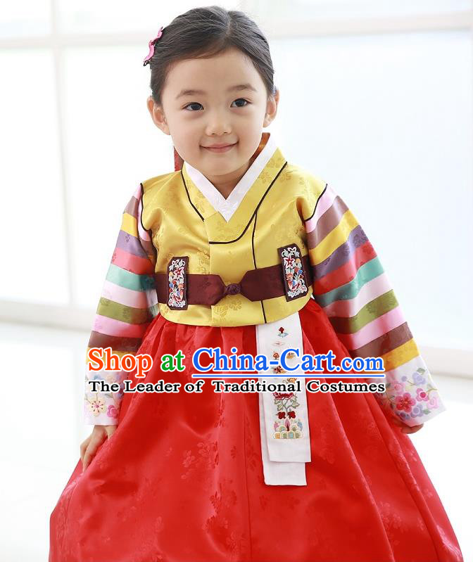 Traditional Korean National Handmade Formal Occasions Girls Hanbok Costume Embroidered Yellow Blouse and Red Dress for Kids