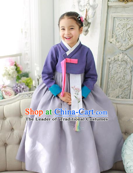 Traditional Korean National Handmade Formal Occasions Girls Hanbok Costume Embroidered Purple Blouse and Grey Dress for Kids