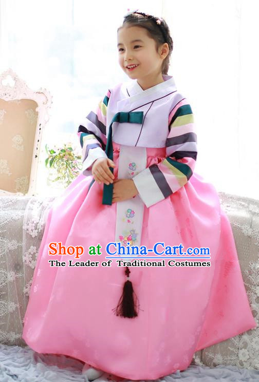 Traditional Korean National Handmade Formal Occasions Girls Palace Hanbok Costume Embroidered Lilac Blouse and Pink Dress for Kids