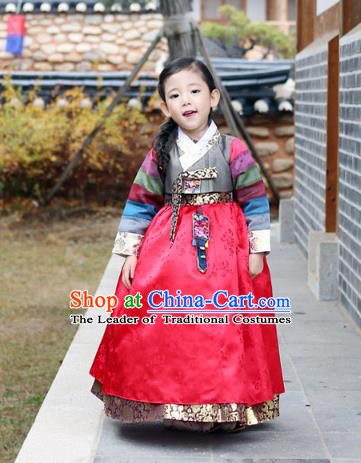 Asian Korean National Traditional Handmade Formal Occasions Girls Embroidery Hanbok Costume Grey Blouse and Red Dress Complete Set for Kids