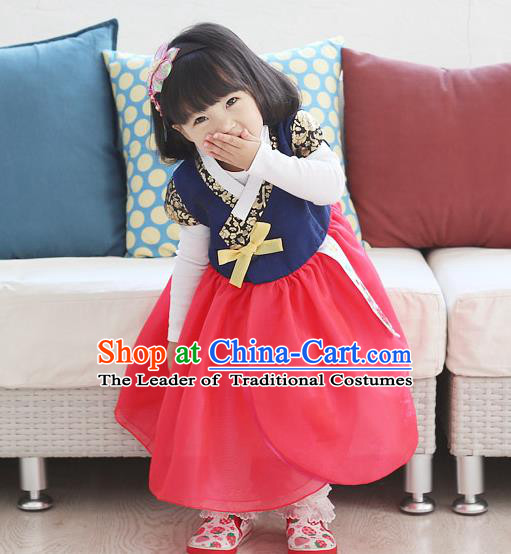 Traditional Korean National Handmade Formal Occasions Girls Embroidery Hanbok Costume Blue Blouse and Red Dress Complete Set for Kids