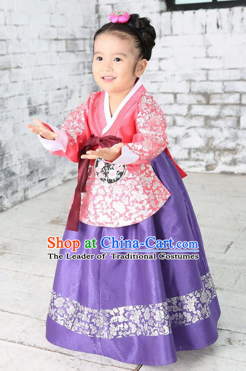 Traditional Korean National Handmade Formal Occasions Girls Palace Hanbok Costume Embroidered Red Blouse and Purple Dress for Kids