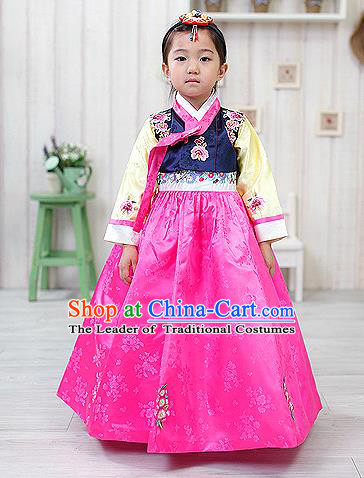 Korean National Handmade Formal Occasions Embroidered Navy Blouse and Pink Dress, Asian Korean Girls Palace Hanbok Costume for Kids