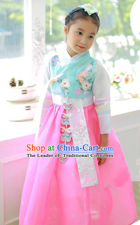Korean National Handmade Formal Occasions Embroidered Blue Blouse and Pink Dress Hanbok Costume for Kids