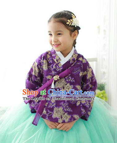 Korean National Handmade Formal Occasions Embroidered Purple Blouse, Asian Korean Girls Palace Hanbok Shirts Costume for Kids