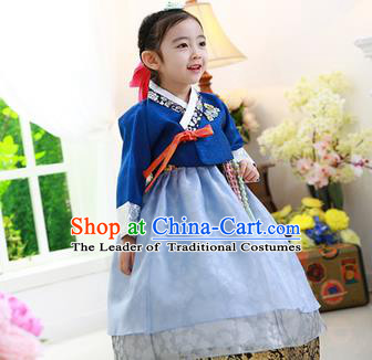 Korean National Handmade Formal Occasions Embroidered Blue Blouse and Dress, Asian Korean Girls Palace Hanbok Costume for Kids