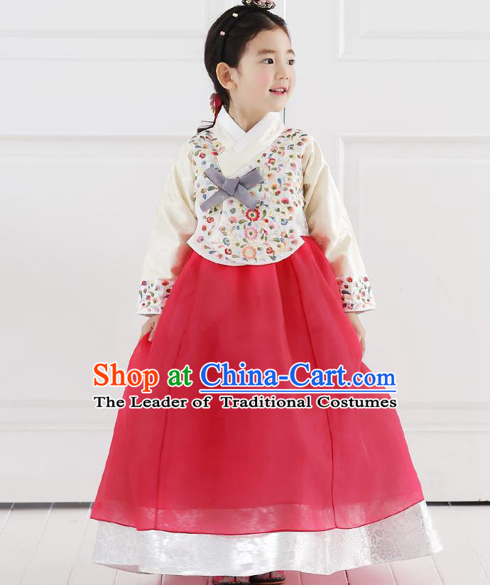Asian Korean National Handmade Formal Occasions Embroidered Blouse and Red Dress Hanbok Costume for Kids