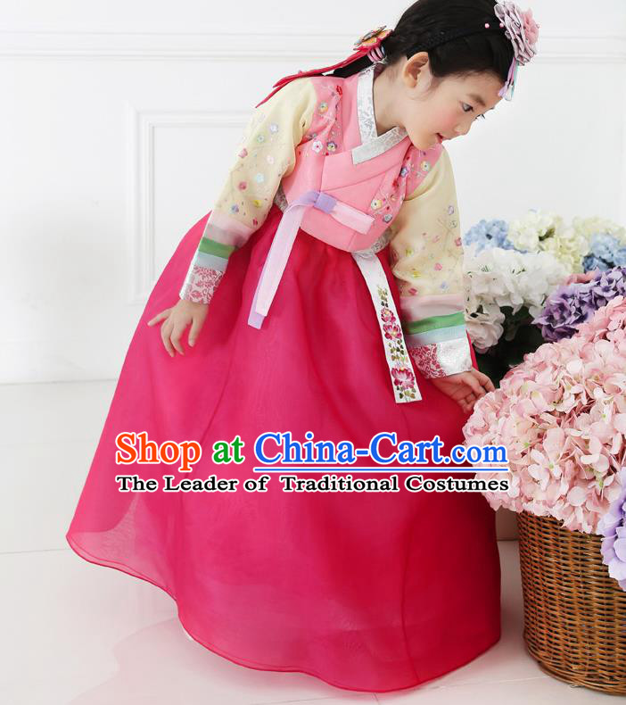 Asian Korean National Handmade Formal Occasions Embroidered Pink Blouse and Dress Hanbok Costume for Kids