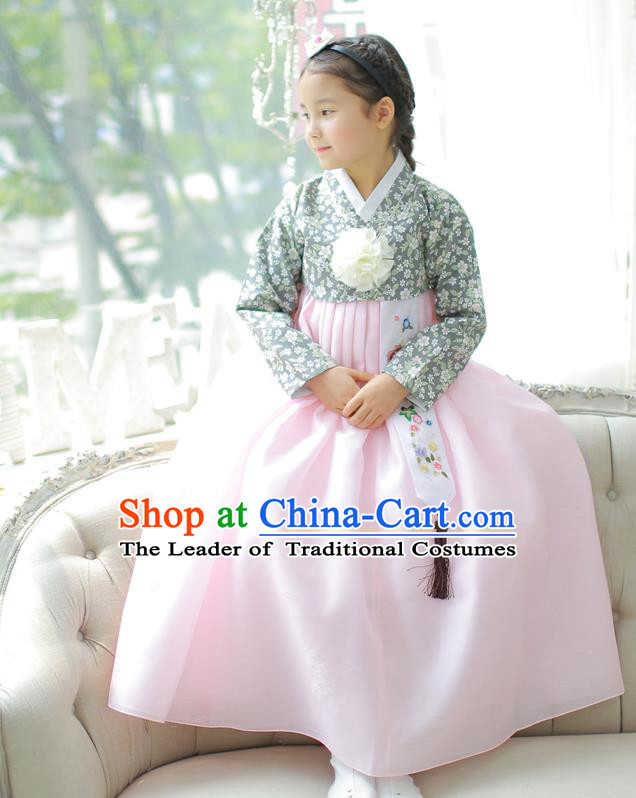 Asian Korean National Handmade Formal Occasions Printing Blouse and Pink Dress Hanbok Costume for Kids