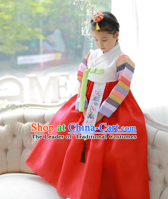 Asian Korean National Handmade Formal Occasions Embroidery White Blouse and Red Dress Hanbok Costume for Kids