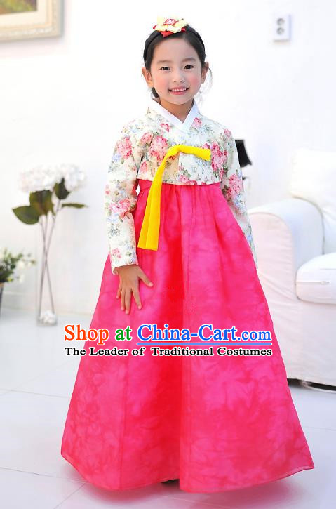 Asian Korean National Handmade Formal Occasions Wedding Embroidered Printing Blouse and Pink Dress Traditional Palace Hanbok Costume for Kids
