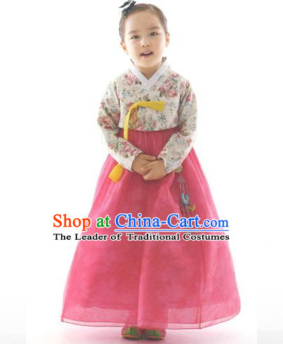 Asian Korean National Handmade Formal Occasions Wedding Clothing Printing Blouse and Pink Dress Palace Hanbok Costume for Kids