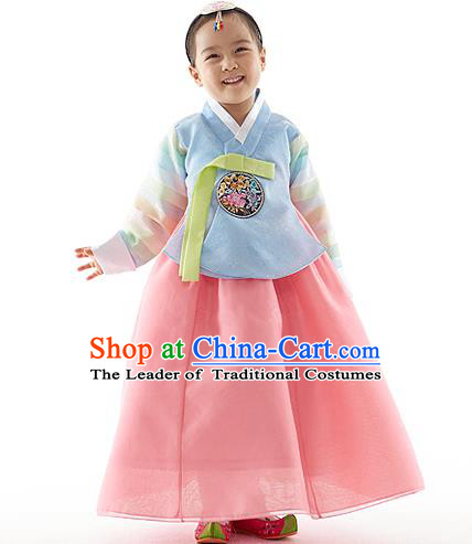 Asian Korean National Handmade Formal Occasions Wedding Clothing Embroidered Blue Blouse and Pink Dress Palace Hanbok Costume for Kids